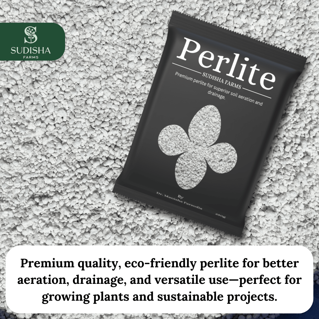 Premium Perlite 250gms - SUDISHA FARMS