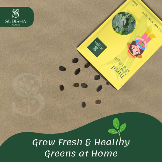 Turai (तुरई) Seeds - SUDISHA FARMS