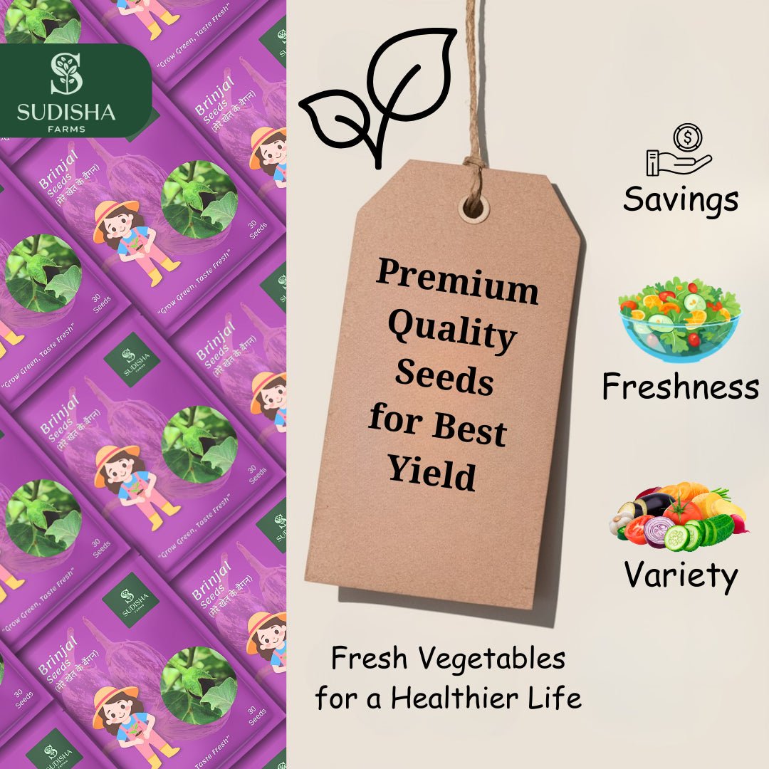 Brinjal (बैंगन) Seeds - SUDISHA FARMS