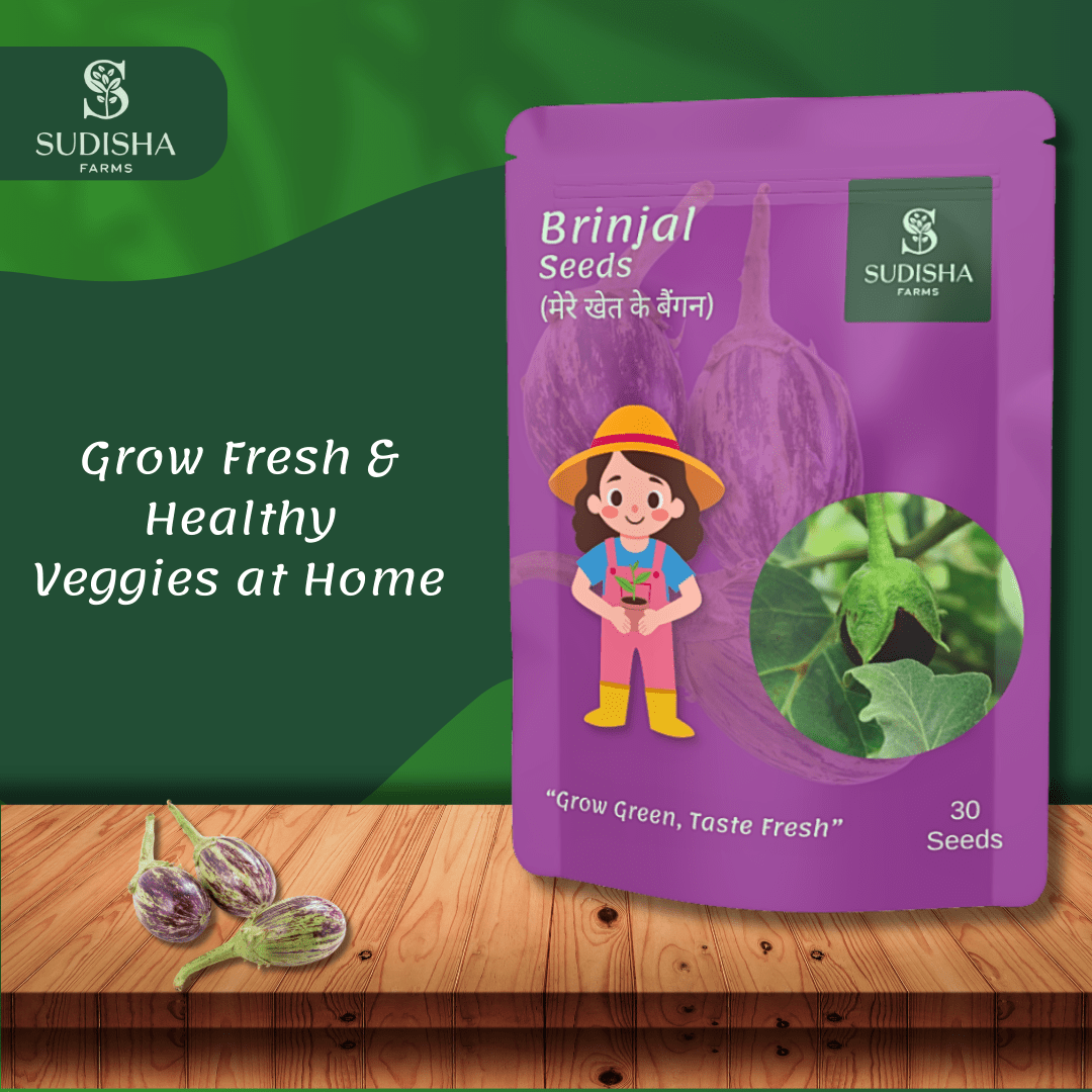 Brinjal (बैंगन) Seeds - SUDISHA FARMS