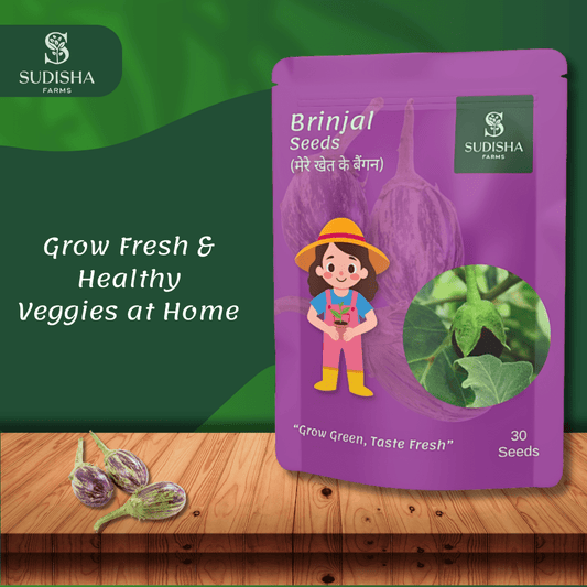 Brinjal (बैंगन) Seeds - SUDISHA FARMS