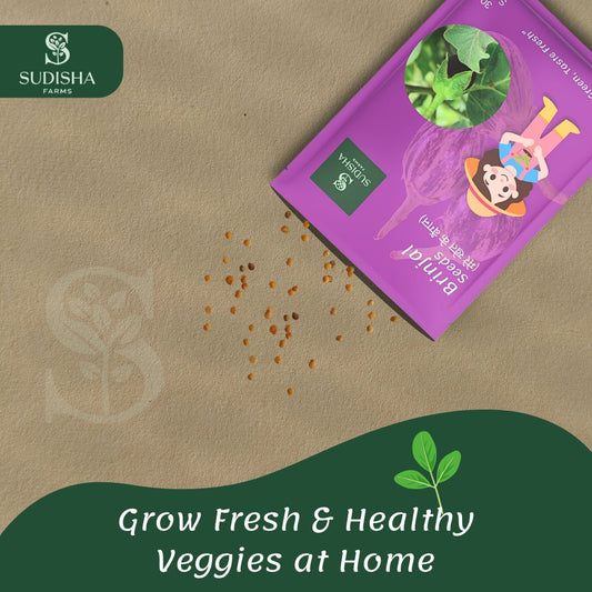 Brinjal (बैंगन) Seeds - SUDISHA FARMS