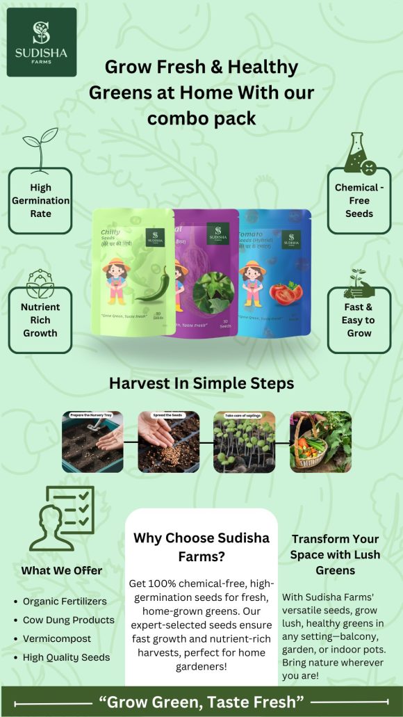 Combo Pack of Tomato, Brinjal and Chilly Seeds (30 Seeds Each) - SUDISHA FARMS