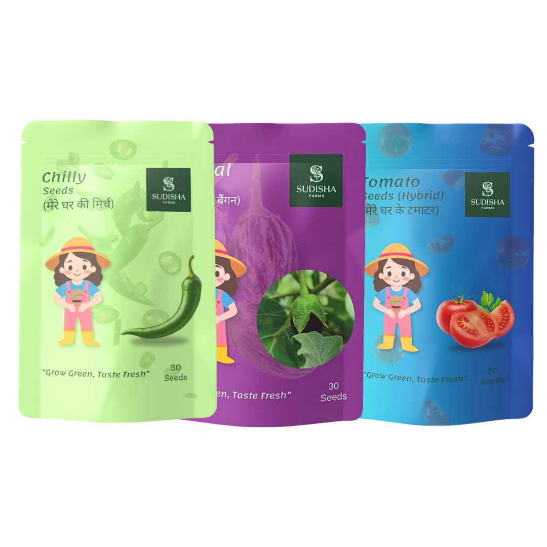Combo Pack of Tomato, Brinjal and Chilly Seeds (30 Seeds Each) - SUDISHA FARMS
