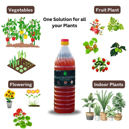 Combo Pack Turai, Karela, Lauki & Tinda Seeds (15 Each), 2kg Low EC Cocopeat With Natural Soil Enhancer (450ml) - SUDISHA FARMS