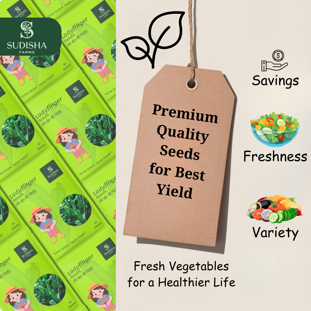 Cucumber (खीरा) Seeds - SUDISHA FARMS