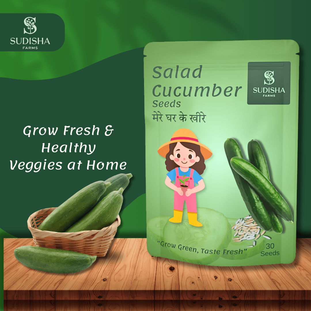 Cucumber (खीरा) Seeds - SUDISHA FARMS