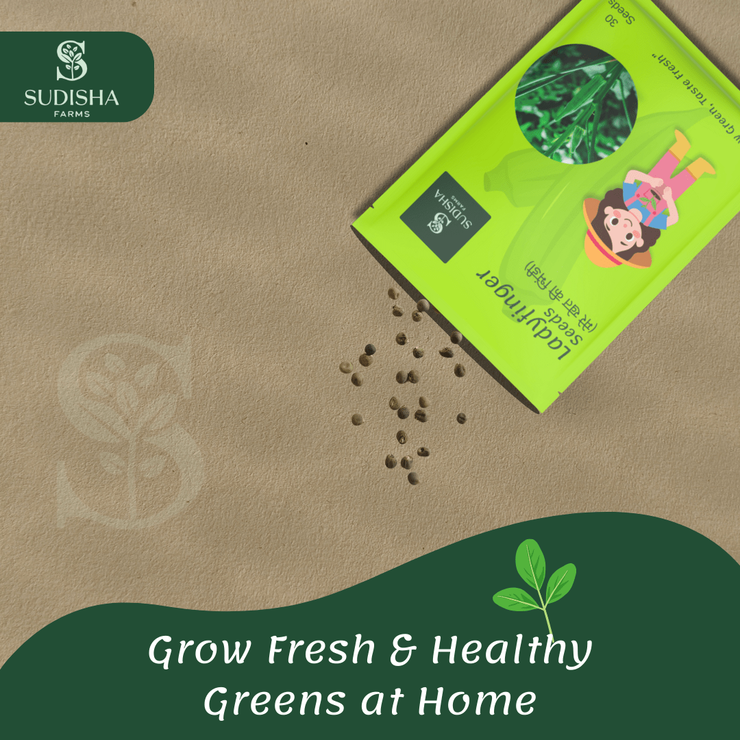 Lady Finger (भिन्डी) Seeds - SUDISHA FARMS