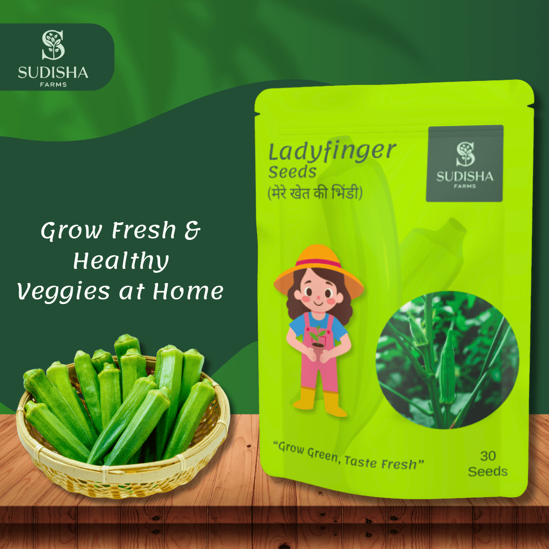Lady Finger (भिन्डी) Seeds - SUDISHA FARMS