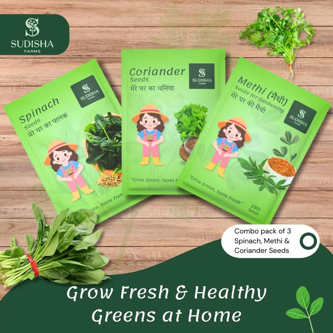 Leafy Combo (Spinach Coriander and Fenugreek) - SUDISHA FARMS