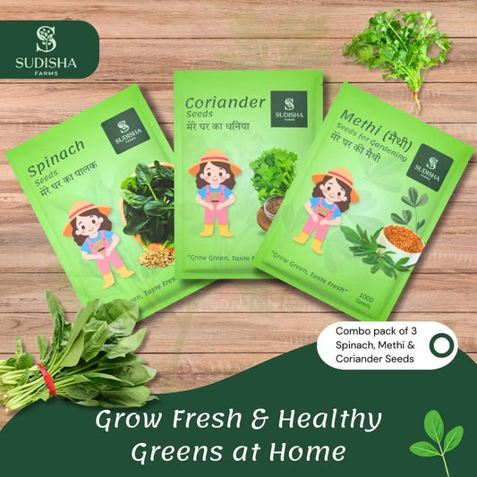 Leafy Combo (Spinach Coriander and Fenugreek) - SUDISHA FARMS