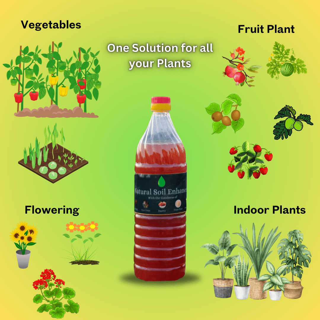 Natural Soil Enhancer - Transform Your Plants with the goodness of cow urine, cow dung, Jaggery, and More! - SUDISHA FARMS