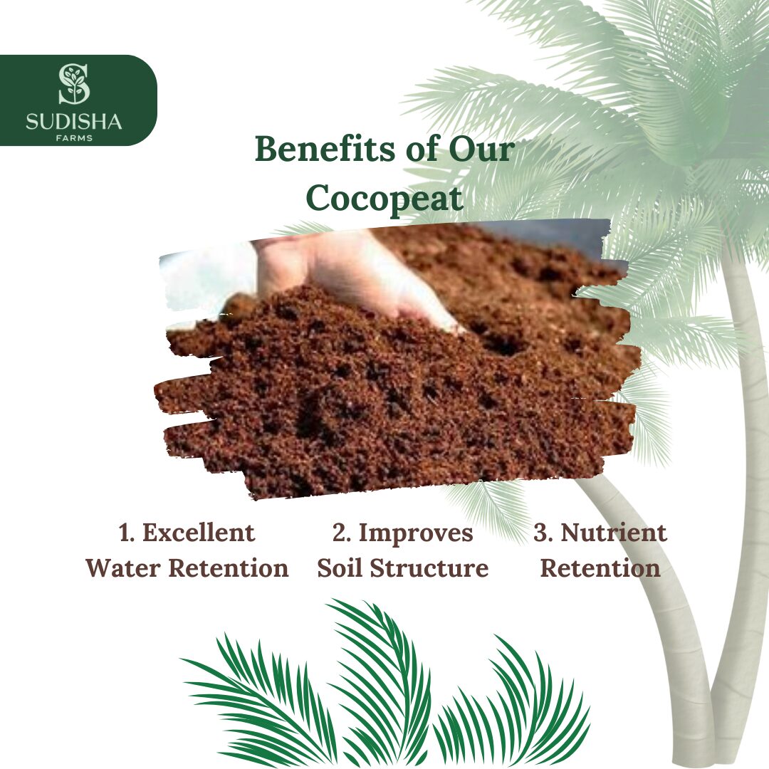 Premium Cocopeat Powder – The Perfect Growing Medium for Every Plant Lover - SUDISHA FARMS