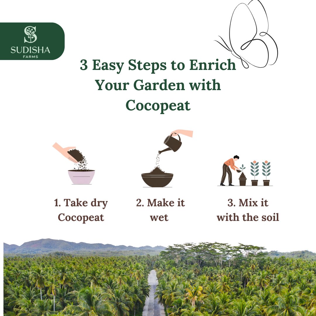 Premium Cocopeat Powder – The Perfect Growing Medium for Every Plant Lover - SUDISHA FARMS