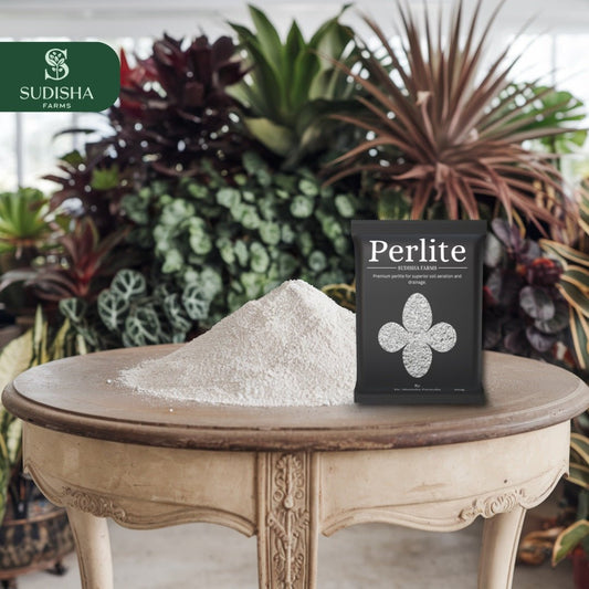 Premium Perlite 250gms - SUDISHA FARMS