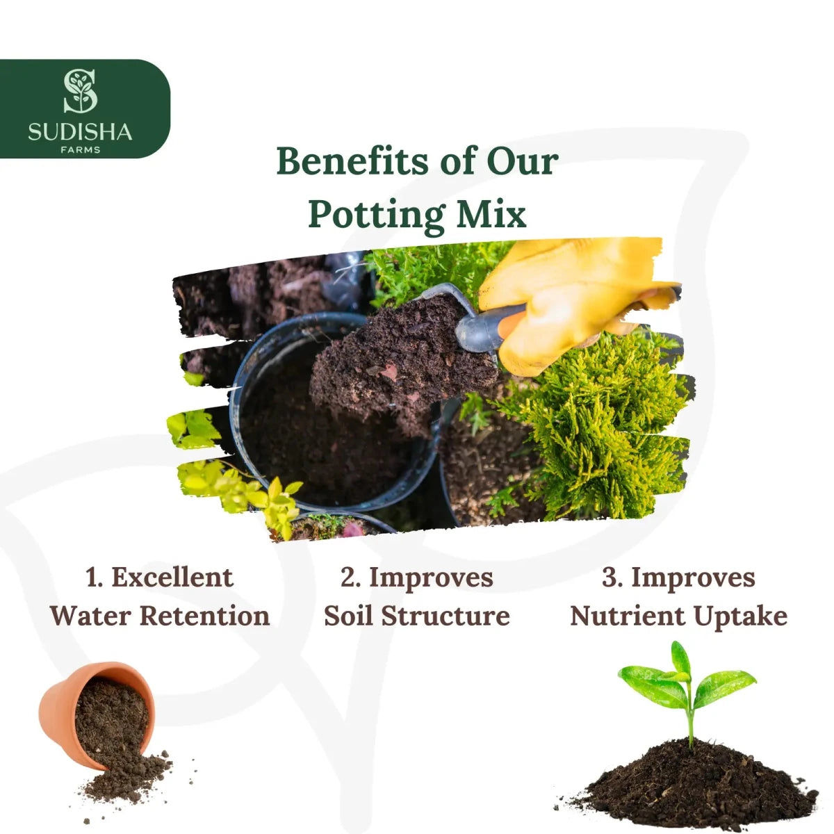 Premium Potting Soil Mix – Ready to Use for All Plants - SUDISHA FARMS