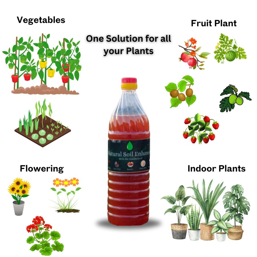 Root Booster Plus for All Plants | Promotes Stronger Roots & Faster Growth | Ideal for Home Gardening | FREE Natural Soil Enhancer Included - SUDISHA FARMS