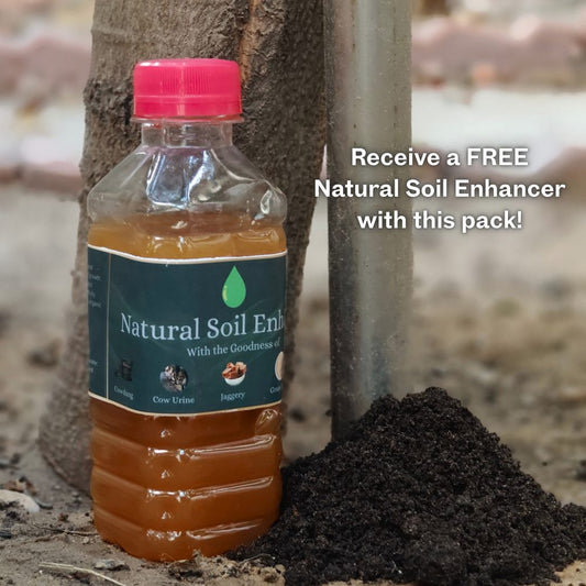 Sudisha Plant Growth Booster for All Plants | Strengthens Roots, Enhances Leaf Greenness, Accelerates Growth | Includes FREE Natural Soil Enhancer - SUDISHA FARMS