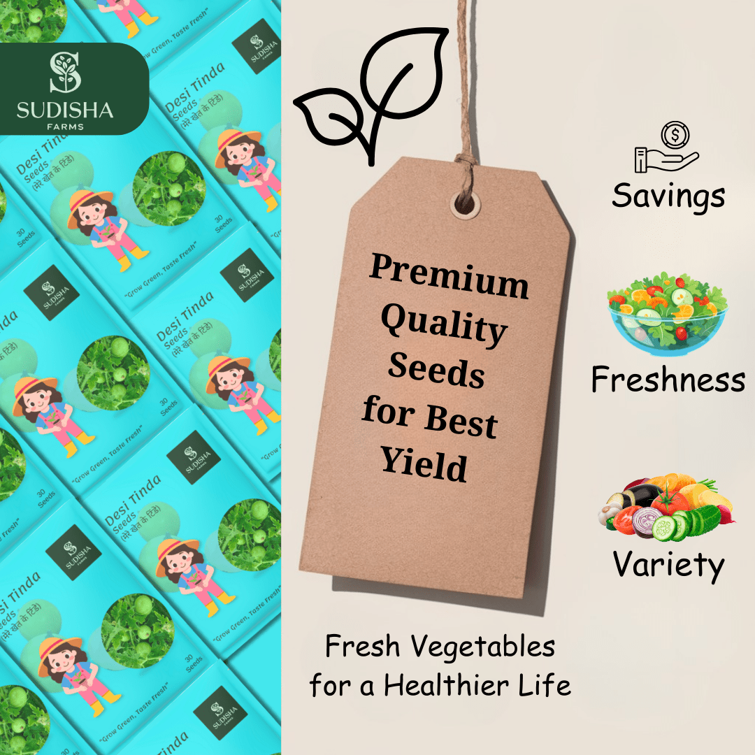 Tinda (टिंडा) seeds - SUDISHA FARMS