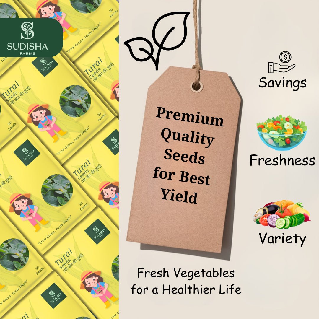 Turai (तुरई) Seeds - SUDISHA FARMS